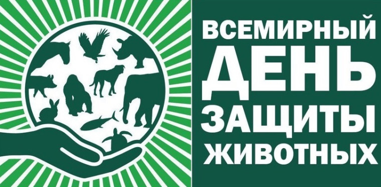 Всемирный день защиты животных в 2024 году отмечался 4 октября.